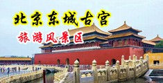 女生潮喷视频中国北京-东城古宫旅游风景区